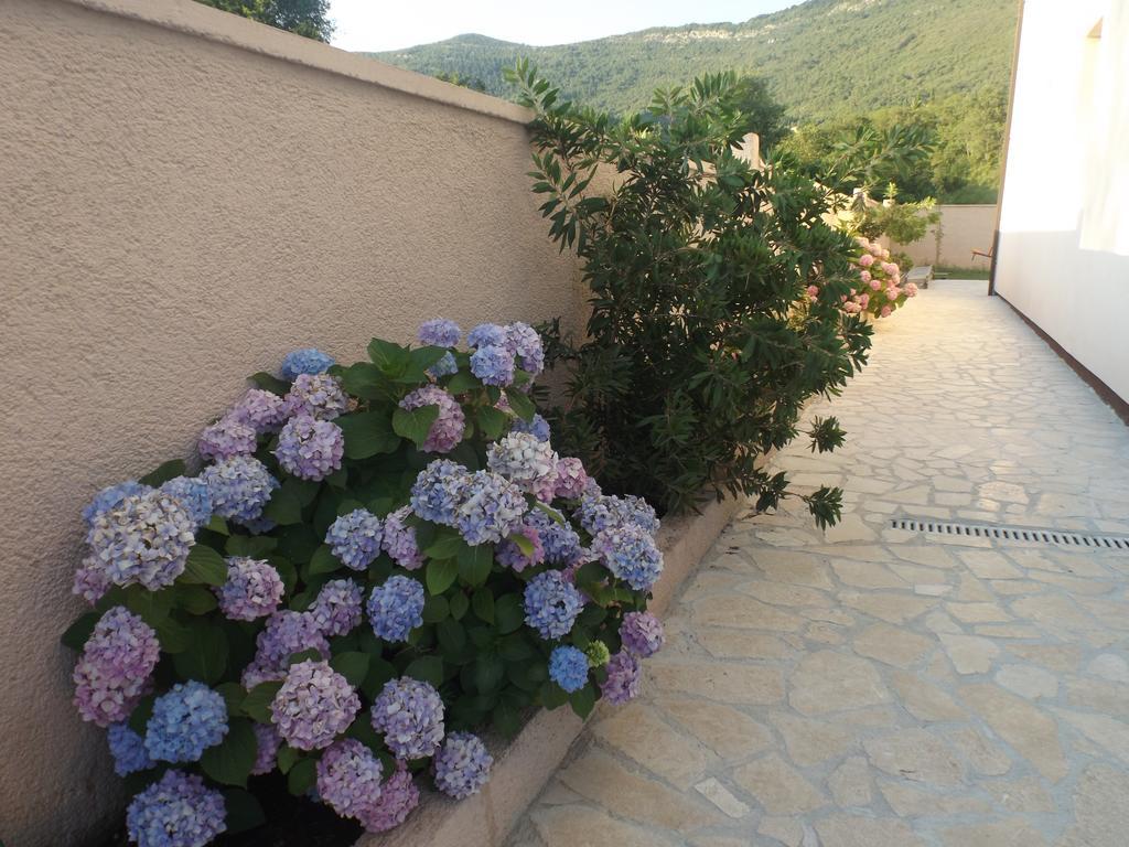 Apartmani Bulajic Tivat Ngoại thất bức ảnh